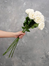 Load image into Gallery viewer, Real Touch English Rose Stem - White