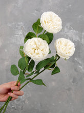 Load image into Gallery viewer, Real Touch English Rose Stem - White