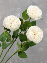 Load image into Gallery viewer, Real Touch English Rose Stem - White