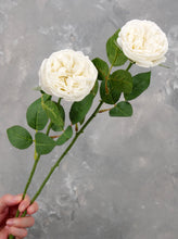 Load image into Gallery viewer, Real Touch English Rose Stem - White