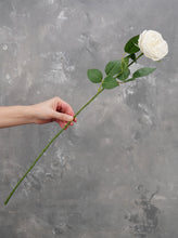 Load image into Gallery viewer, Real Touch English Rose Stem - White