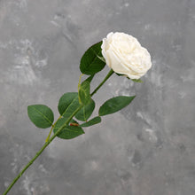 Load image into Gallery viewer, Real Touch English Rose Stem - White