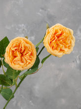 Load image into Gallery viewer, Real Touch English Rose Stem - Yellowish Orange
