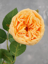 Load image into Gallery viewer, Real Touch English Rose Stem - Yellowish Orange