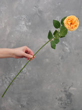 Load image into Gallery viewer, Real Touch English Rose Stem - Yellowish Orange