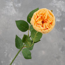 Load image into Gallery viewer, Real Touch English Rose Stem - Yellowish Orange