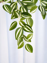 Load image into Gallery viewer, 18" Faux Hanging Plant - Green & White