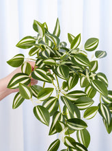 Load image into Gallery viewer, 18" Faux Hanging Plant - Green & White