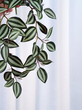 Load image into Gallery viewer, 18" Faux Hanging Plant - Red