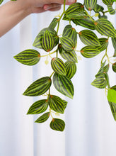 Load image into Gallery viewer, 18" Faux Hanging Plant - Green