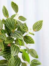 Load image into Gallery viewer, 18" Faux Hanging Plant - Green