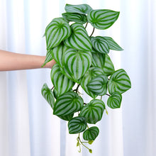 Load image into Gallery viewer, 16" Faux Watermelon Peperomia Hanging Plant