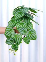 Load image into Gallery viewer, 16" Faux Watermelon Peperomia Hanging Plant