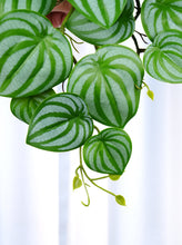 Load image into Gallery viewer, 16" Faux Watermelon Peperomia Hanging Plant