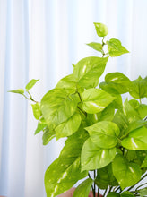 Load image into Gallery viewer, 24" Faux Golden Pothos Plant