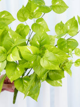 Load image into Gallery viewer, 24" Faux Golden Pothos Plant