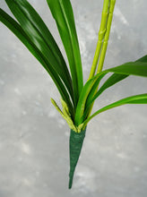Load image into Gallery viewer, Faux Cymbidium Hybrid Orchid - White