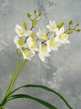Load image into Gallery viewer, Faux Cymbidium Hybrid Orchid - White