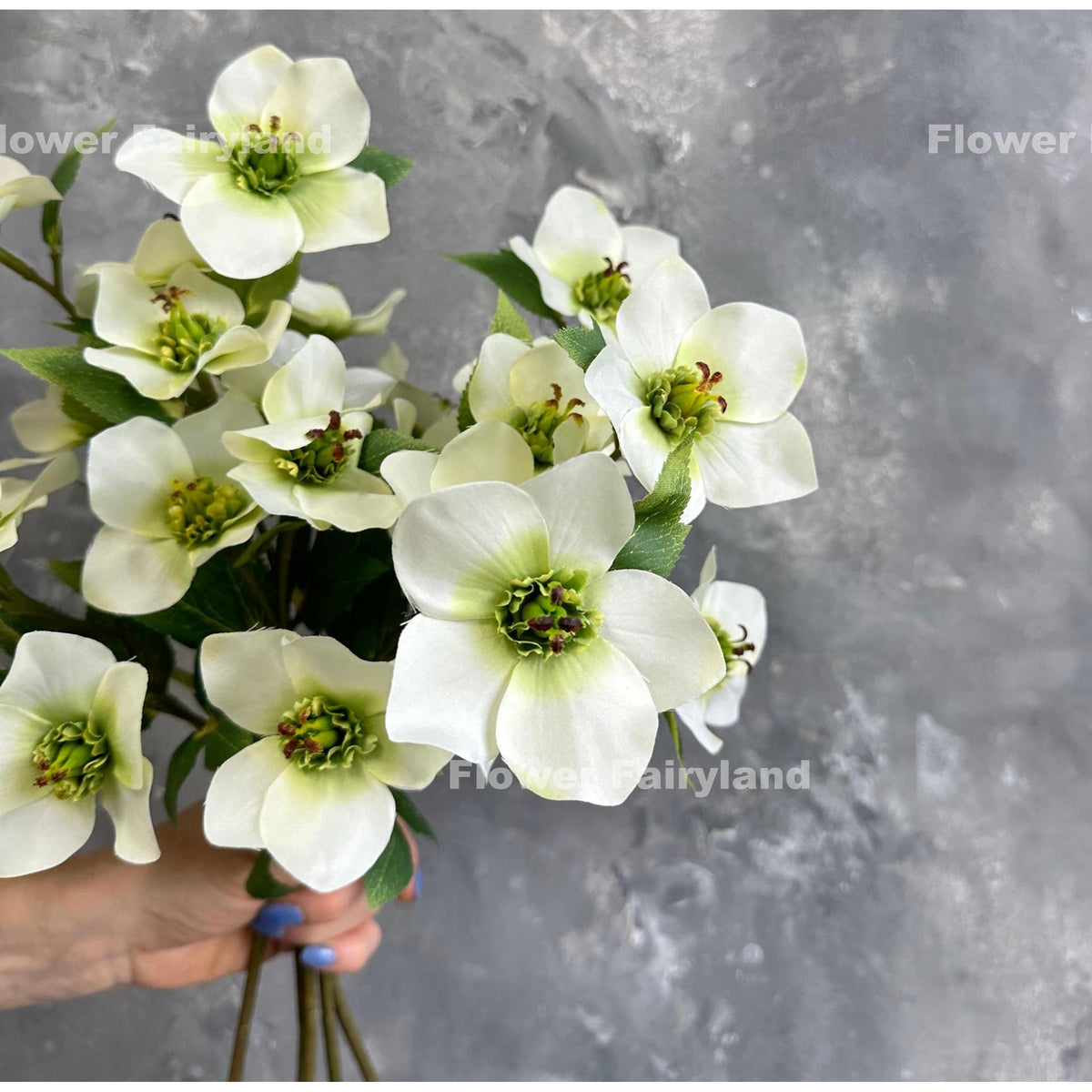 Faux Helleborus Stem - Greenish White