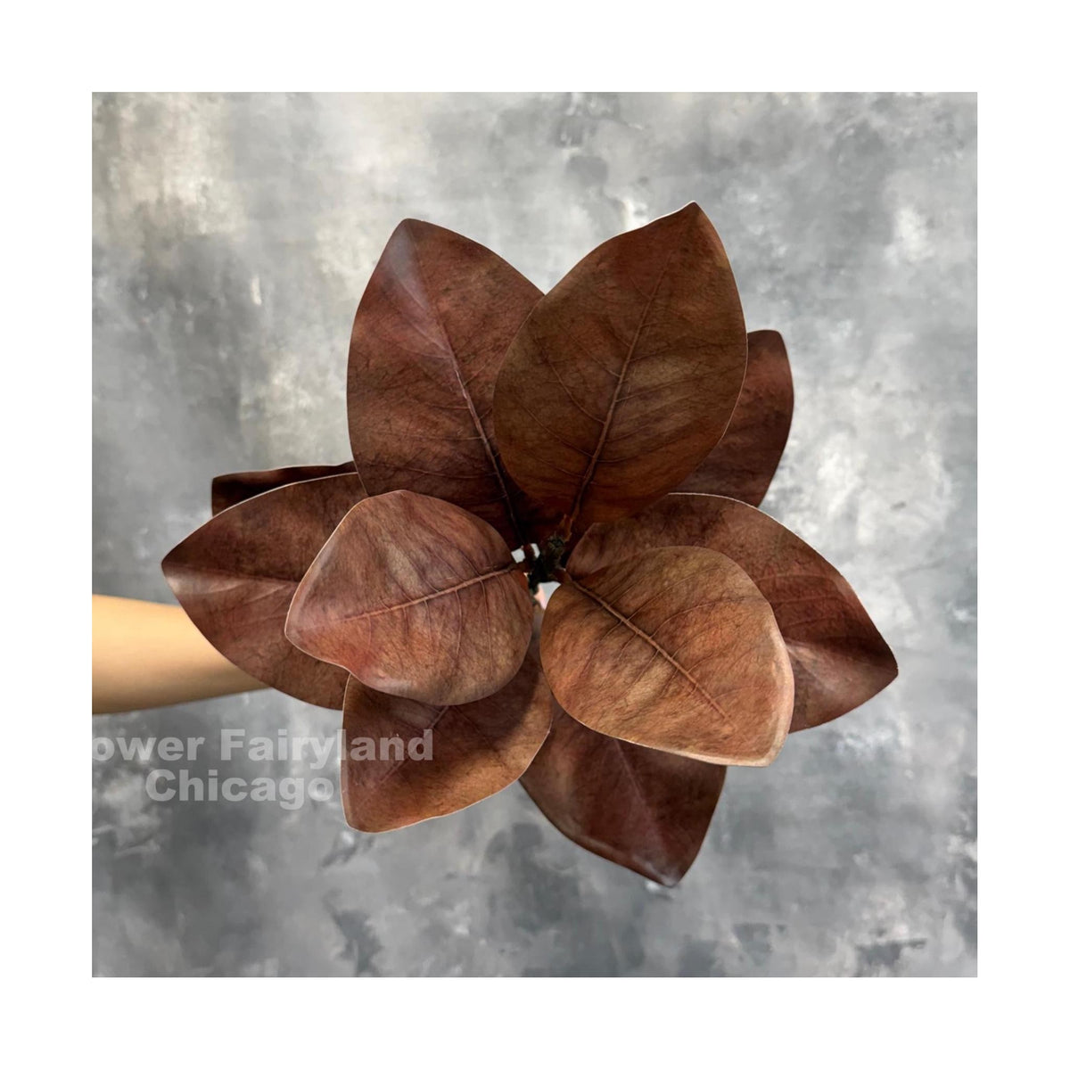 Natural Touch Faux Magnolia Leaf Branch - Brown