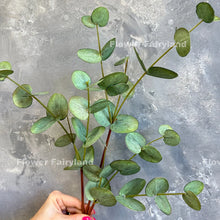 Load image into Gallery viewer, Real Touch Eucalyptus 3 Stems