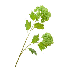 Load image into Gallery viewer, 2 Heads Real Touch Snowball Stem - Green