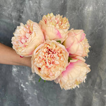 Load image into Gallery viewer, 5 Stems Peony Bouquet – Multi-Color
