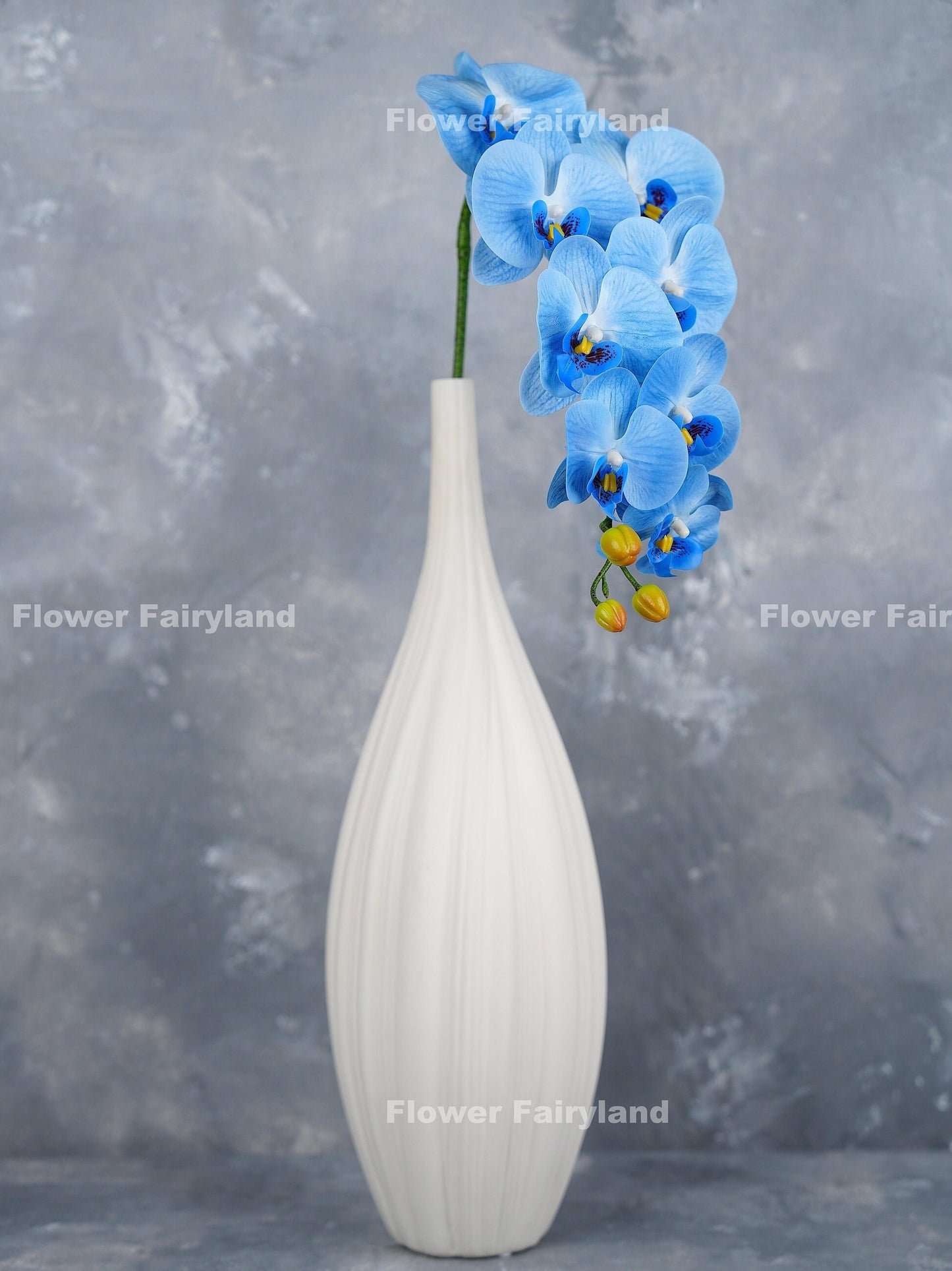 Blue orchid flower detail