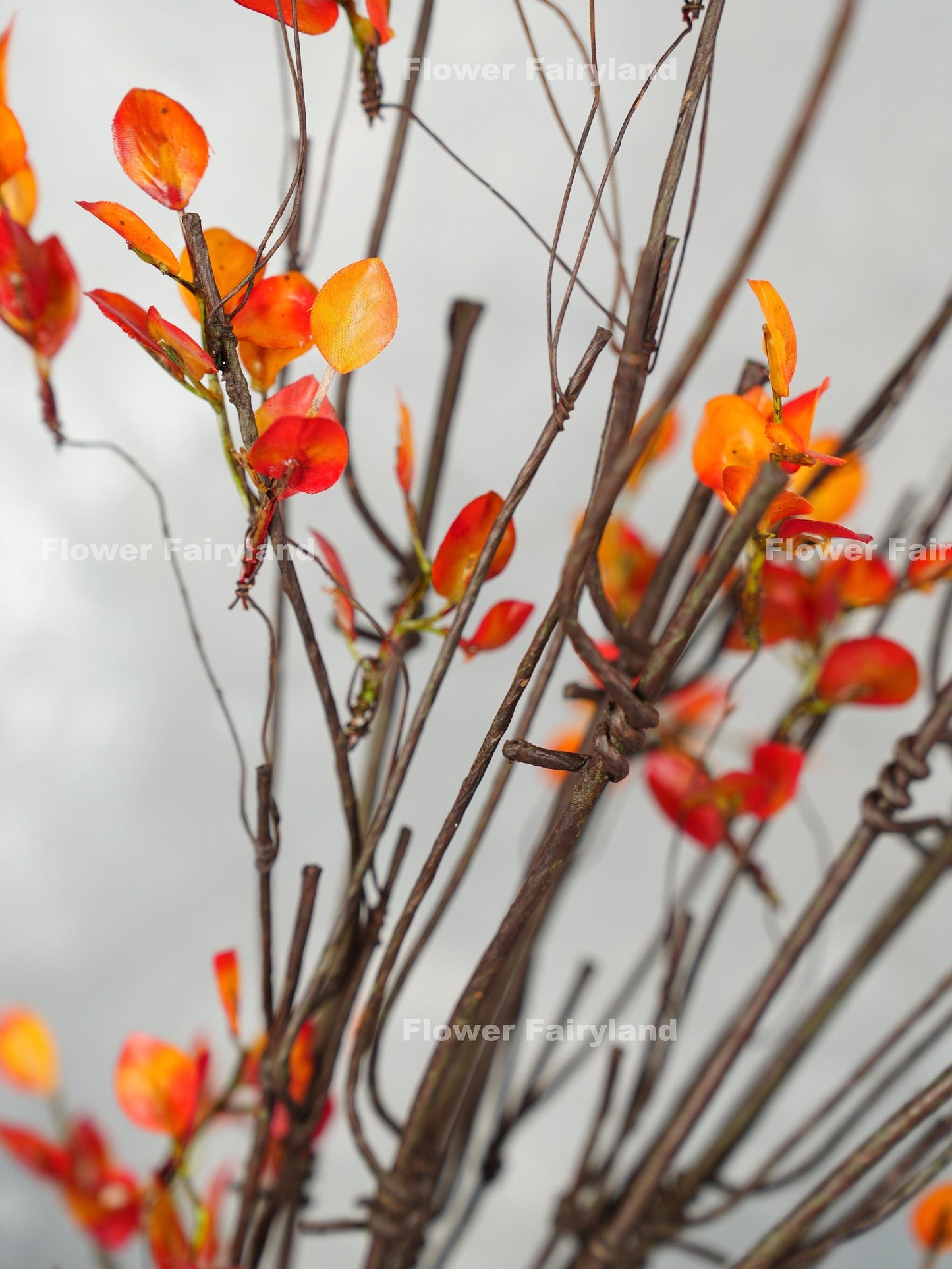 Orange leaf branch stem texture close-up