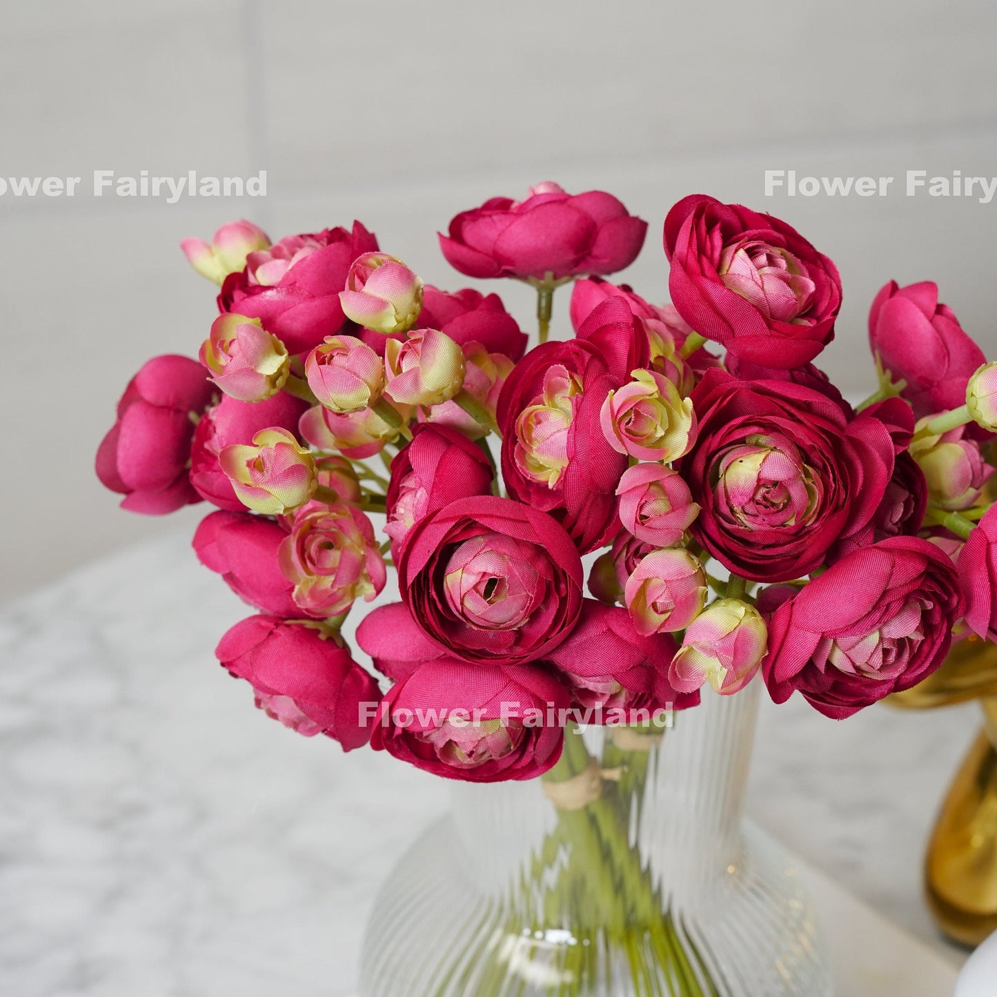 Magenta pink ranunculus bundle held in hand