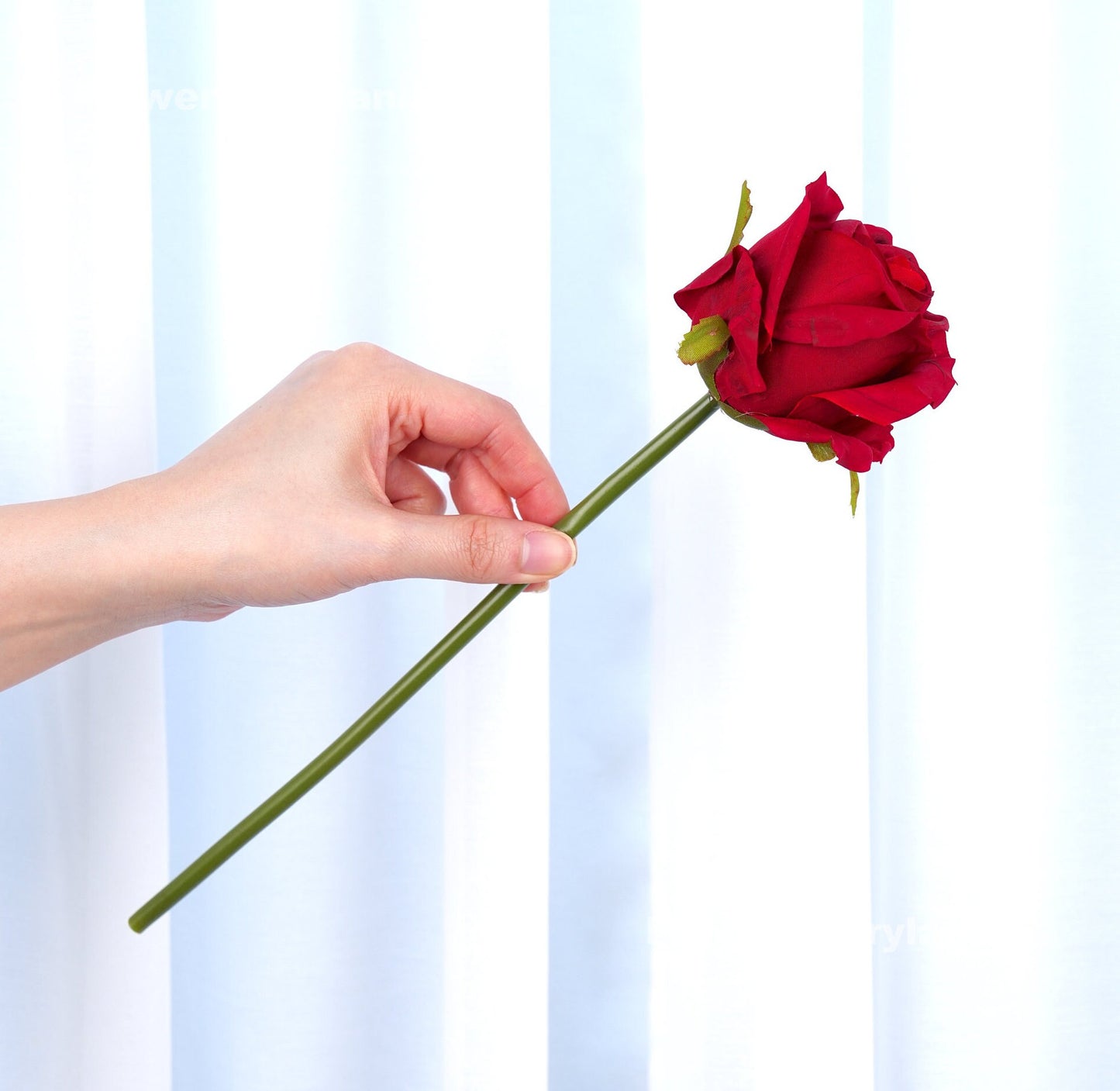 Single red rose stem from bouquet