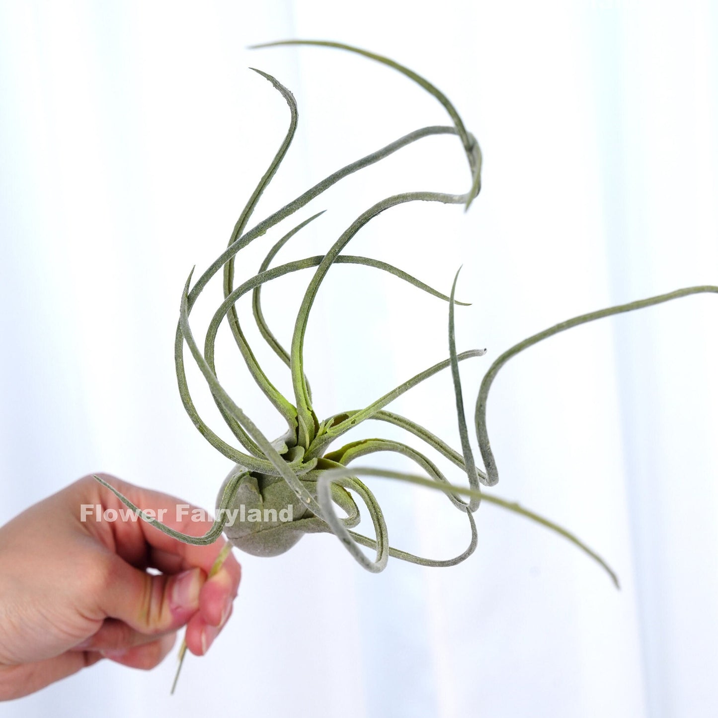 Tall faux air plant detail