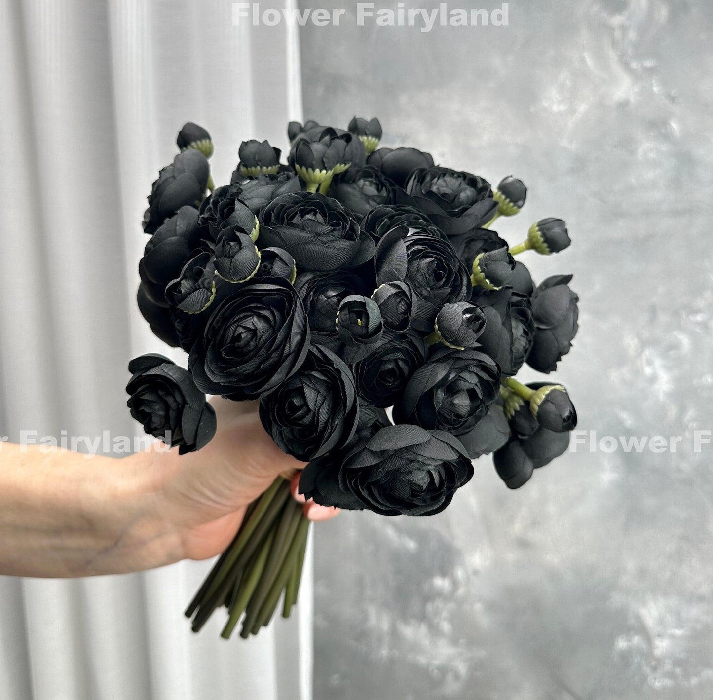 Black mini ranunculus blooms close-up