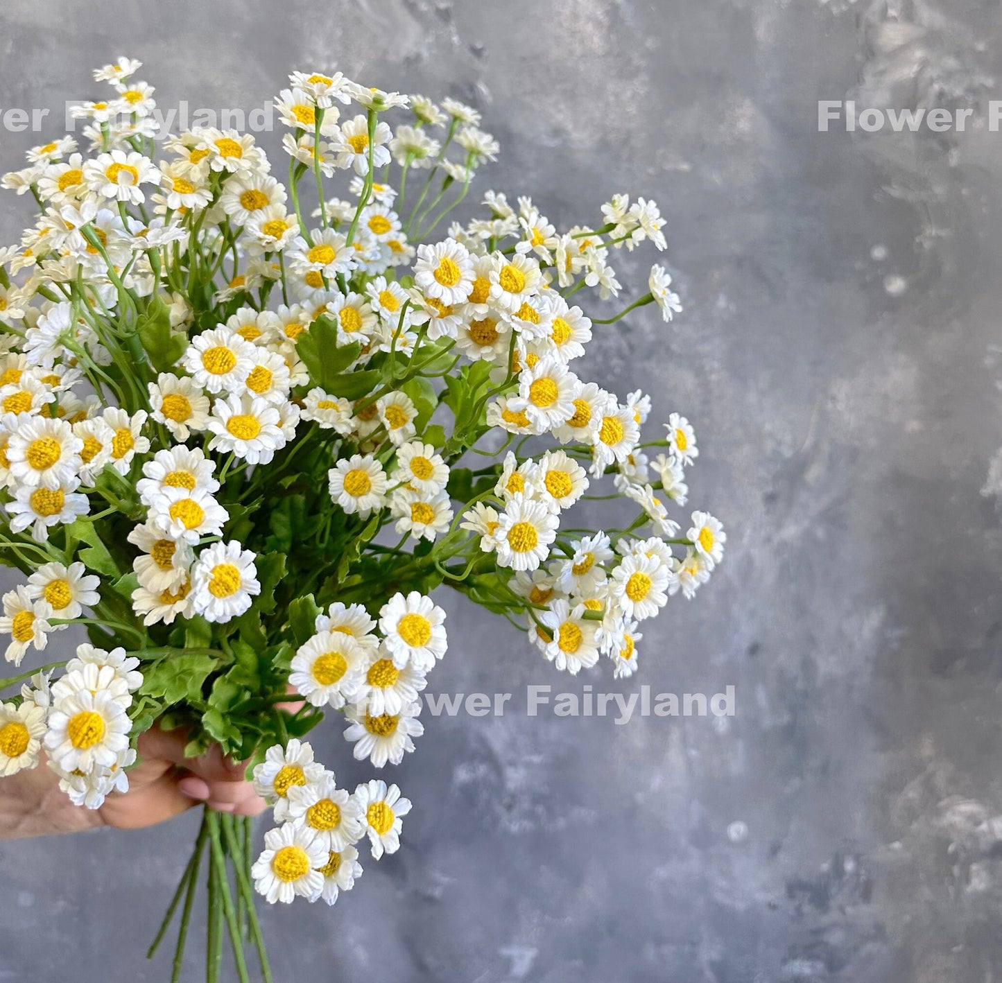 Bright white faux chamomile daisy blooms close-up