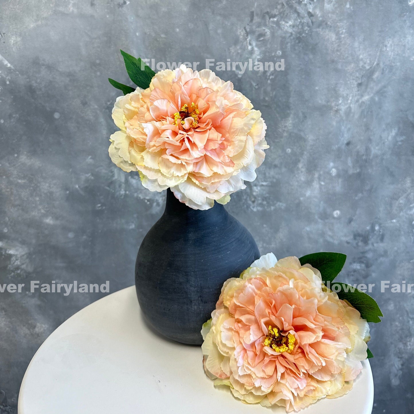 Peach huge peony flower detail