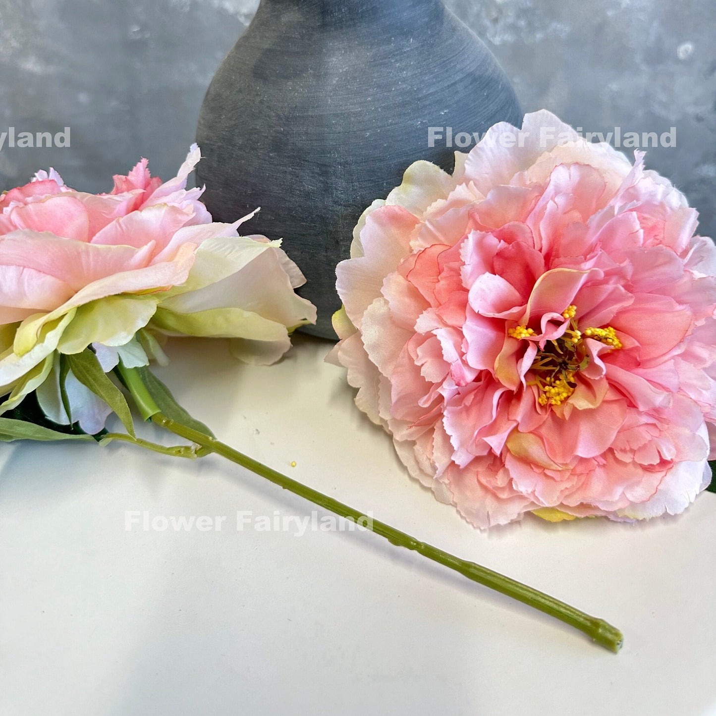 Pink huge peony stem full view