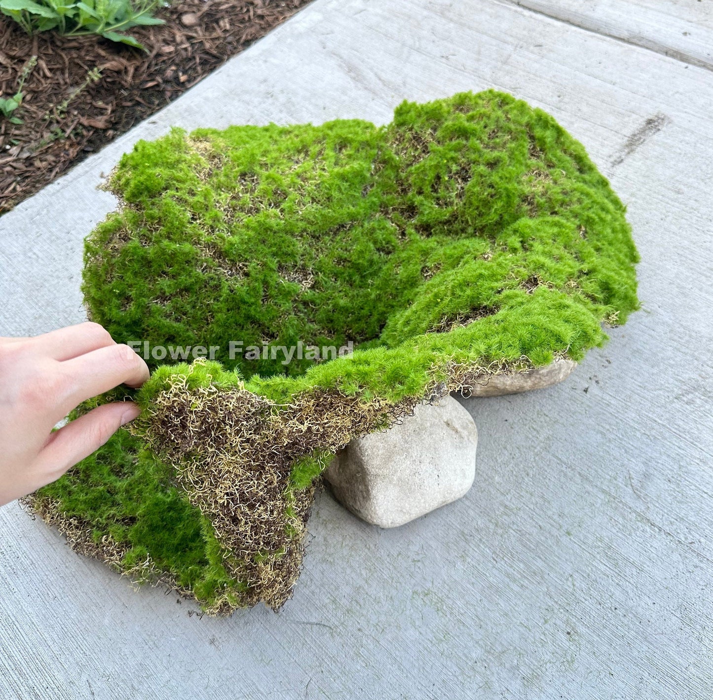 Faux bryophyta moss piece close-up