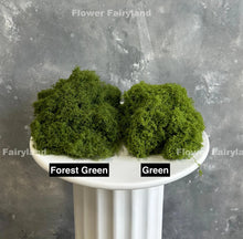 Load image into Gallery viewer, Faux Moss - Green