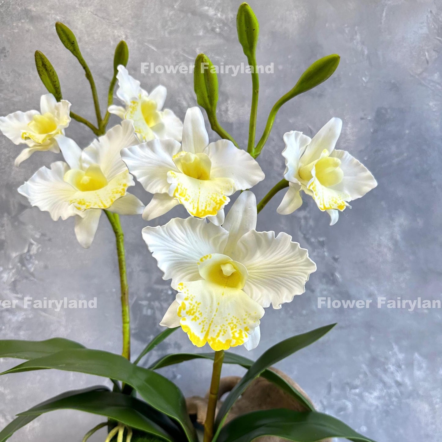 White faux cattleya orchid full view