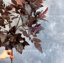 Load image into Gallery viewer, 34.5" Faux Cimicifuga Hillside Black Beauty Plant Leaf Branch - Seeded - Plum Purple