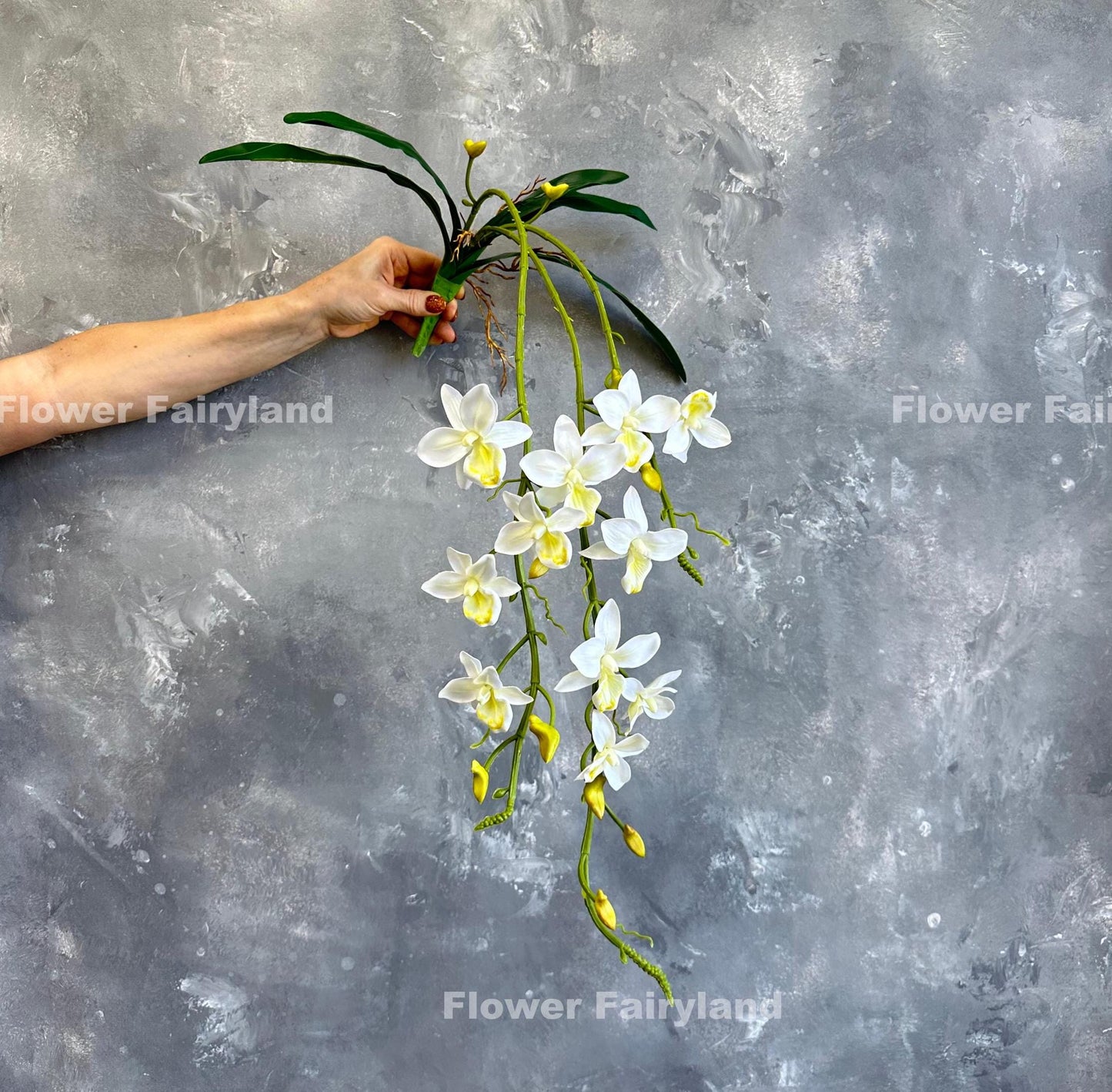 White hanging orchid bloom detail