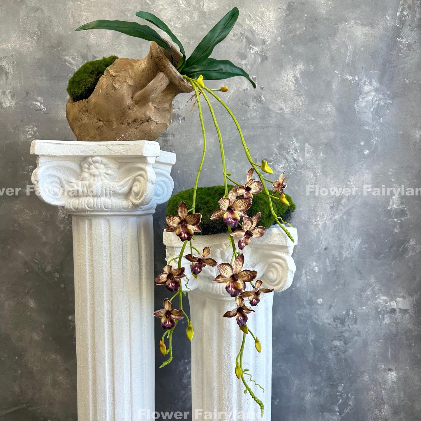Brown hanging orchid bloom detail