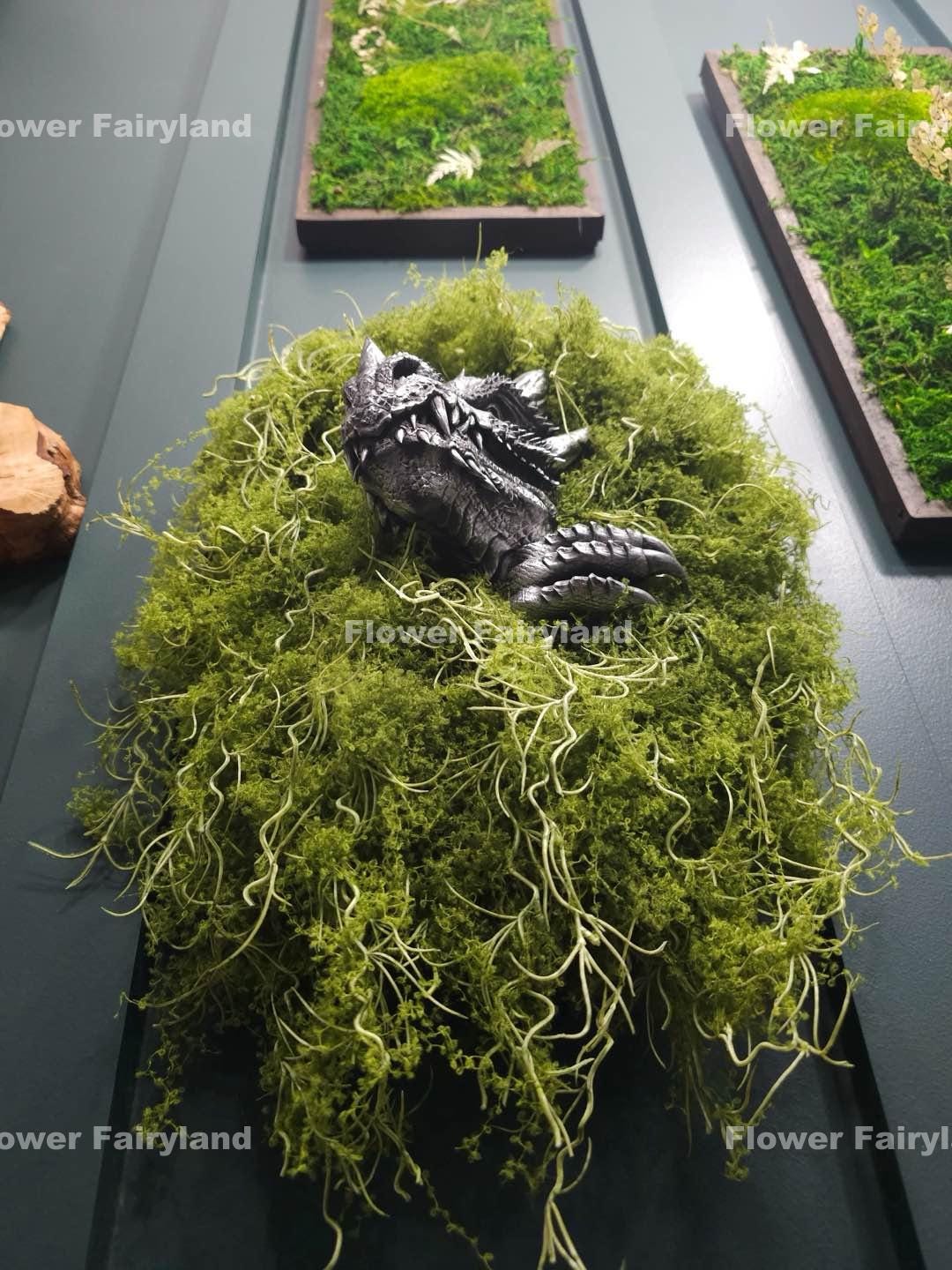 Dusty green Spanish moss wall hanging scene