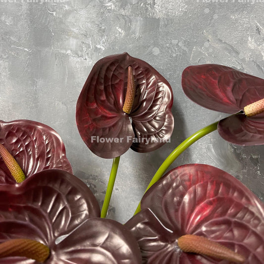 Real touch anthurium stem in burgundy - flower head close-up