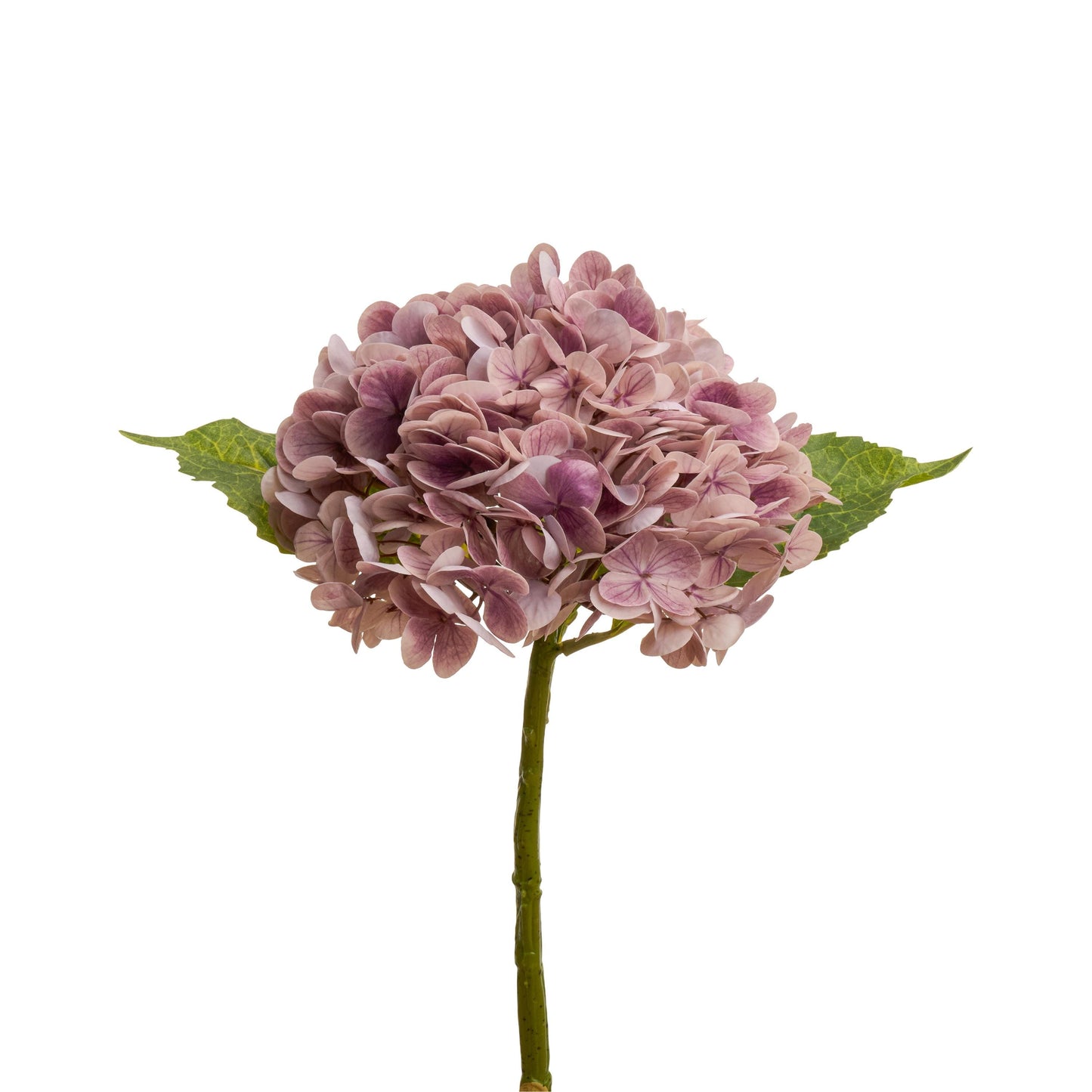 Light mauve purple hydrangea in arrangement