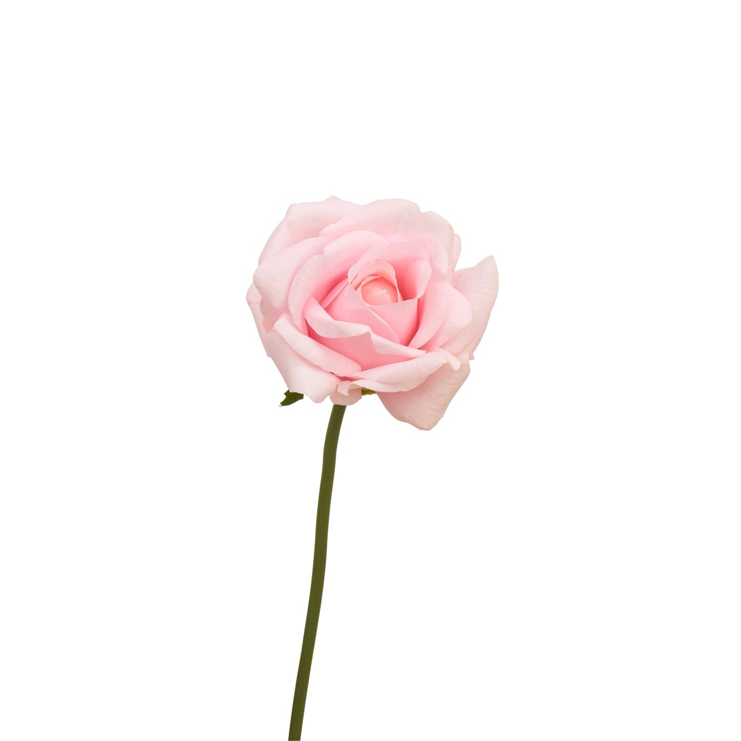 Single blush pink rose stem detail