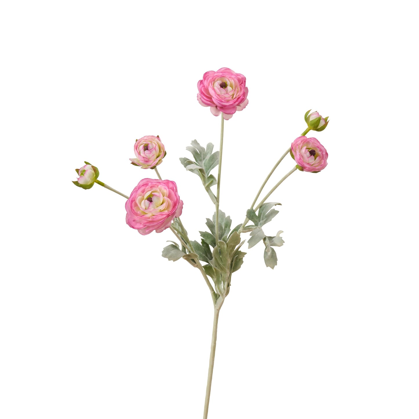 Single pretty pink faux ranunculus stem with 6 heads