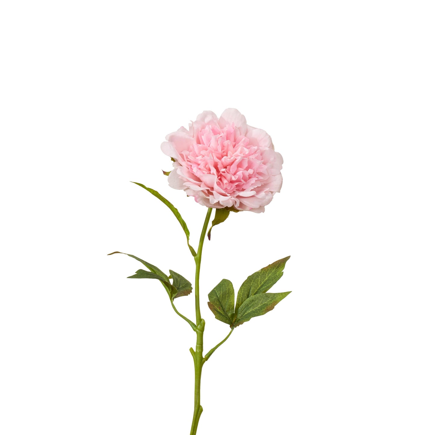 Real touch peony single stem in baby pink