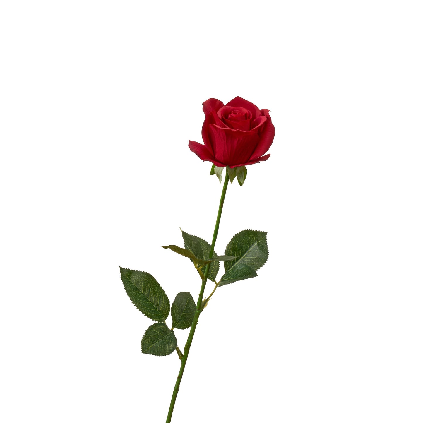 Real touch half opened rose single long stem in red