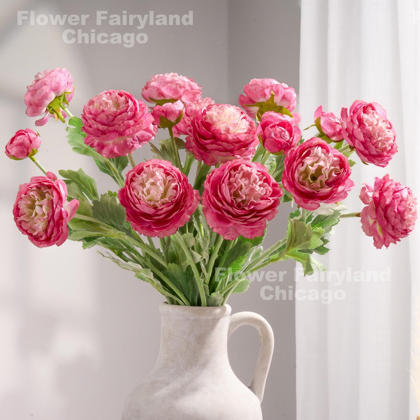 Gradient dark hot pink 3 head ranunculus stems in vase